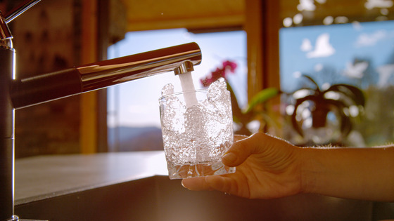 Hand holds and fills a glass with tap water in a kitchen with plants and sunlight in the background