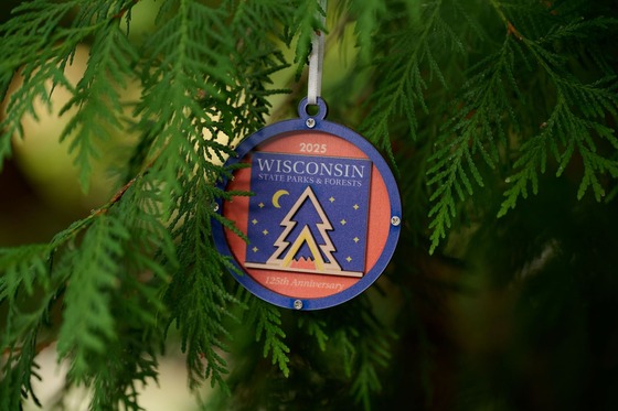 An orange and blue wooden ornament hangs from the bows of a tree.
