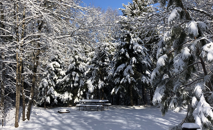 Snow-covered campsite at Copper Falls State Park