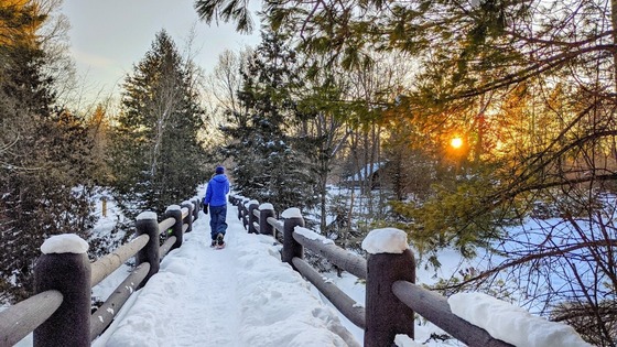 someone in winter gear walking on a snow-covered wooden bridge through a forested area