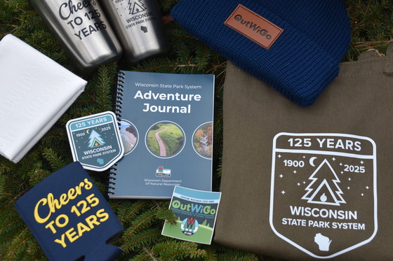 Wisconsin State Park System merch celebrating its 125th anniversary arranged on a pine needle background.