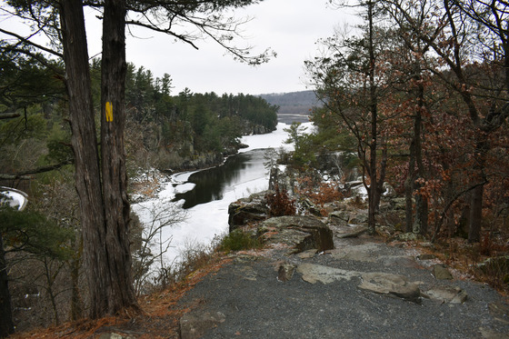 view of the St. Croix River from Interstate Park with surrounding forest and rocky shoreline, under an overcast sky.