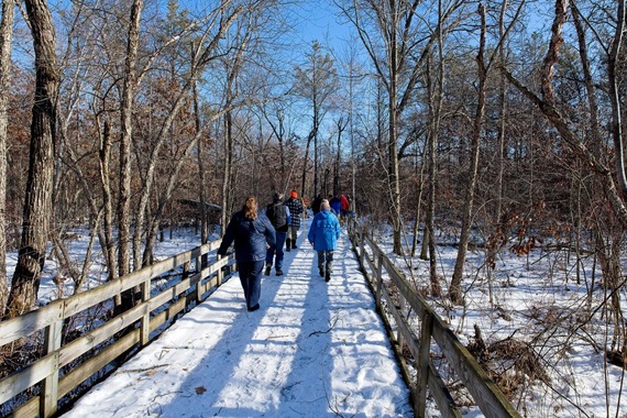 People walking through forest in winter