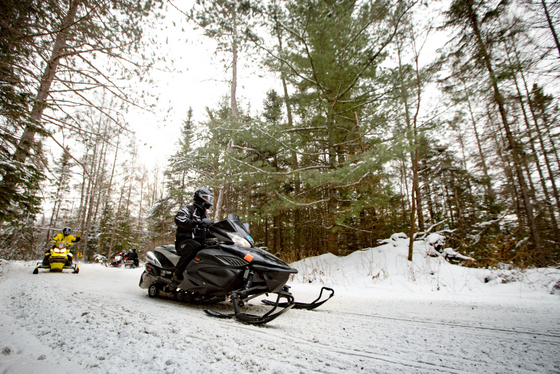 A group of snowmobiles cruise on a tree-lined trail. 