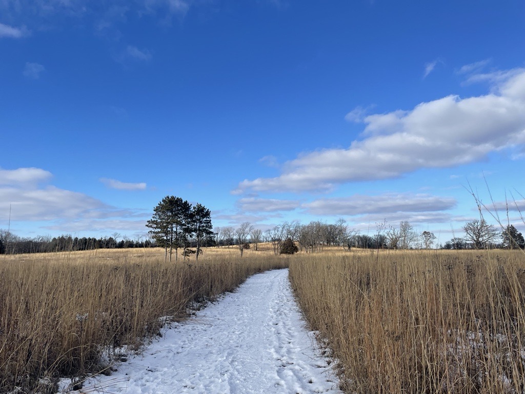 Grass prairie trail with snow path