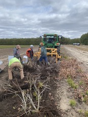 A group of workers in a field. 