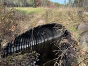 A culvert shown in the forest. 