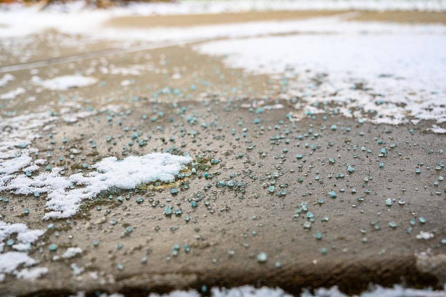 Blue melting salt spread heavily on a snowy sidewalk.