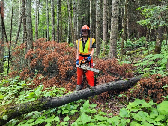 A Wisconsin State parks System wearing a safety helmet and high-visibility vest holds a chainsaw next to a downed tree. 