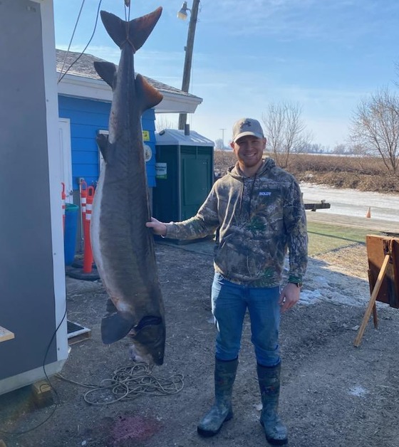 A spearer stands next to a lake sturgeon hanging from it's tail at a DNR registration station. 
