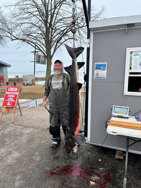 A man poses with a speared sturgeon hanging beside him. 