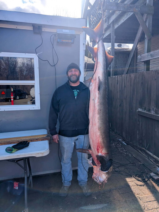 David Conradt standing near sturgeon registration station next to his speared sturgeon hanging up