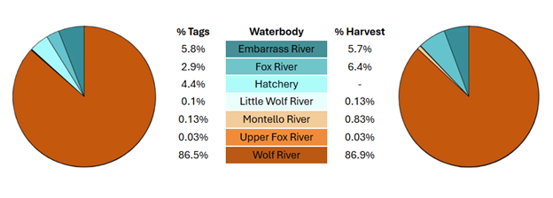 Two pie charts compare fish tagging and recapture rates at different locations. 