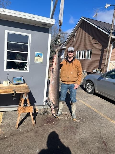 A man in a tan jacket, blue jeans and boots poses with a large sturgeon hanging beside him. 