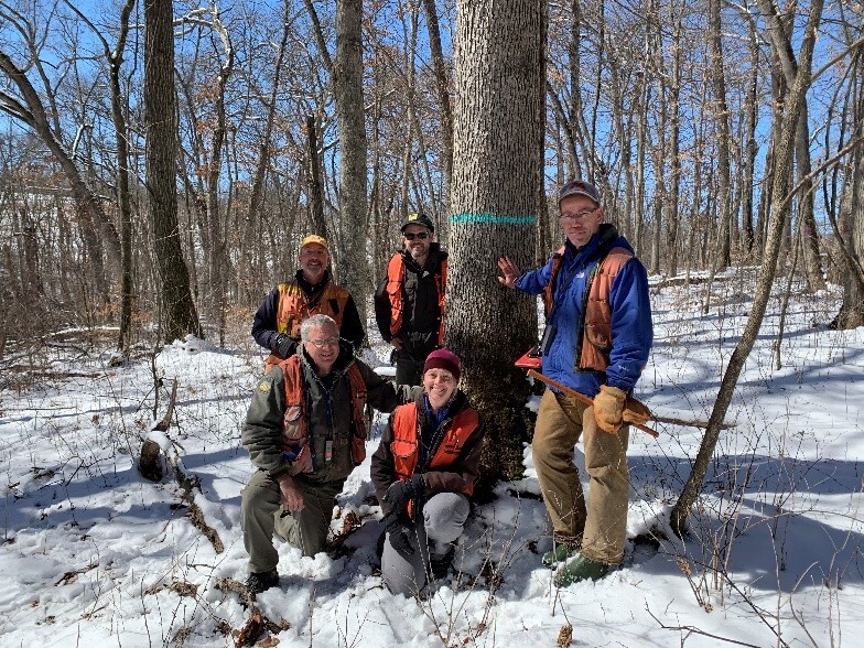 Five workers pose around a tree in winter, snow blanketing the ground. 