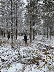 A single person stands, back to camera, in a forest blanketed with a thin dusting of snow. 