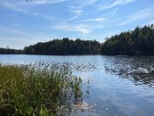 A lake in summer with a forested shore in the background. 