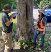 Workers inspect a tree's health with a resistograph