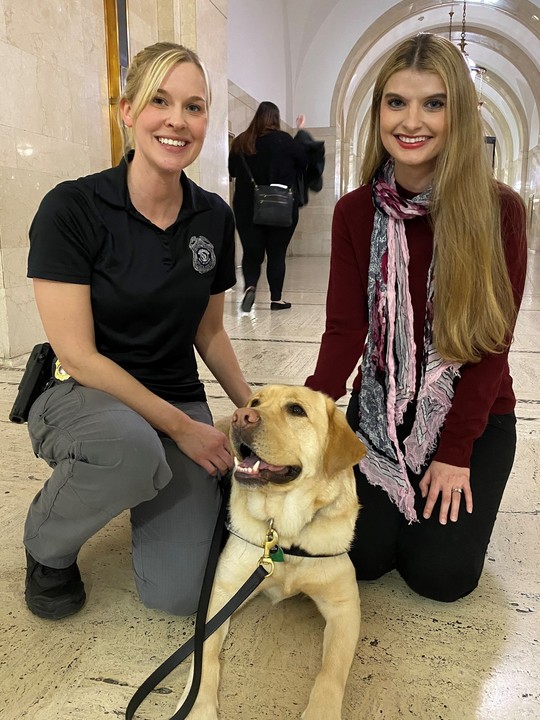 Dog and two women in a courthouse