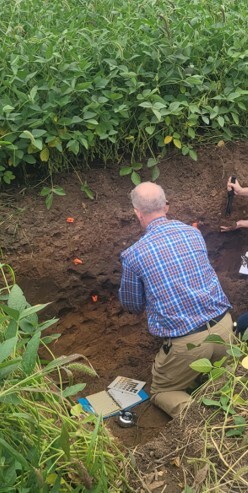Person on his knees looking at dirt in field of greenery