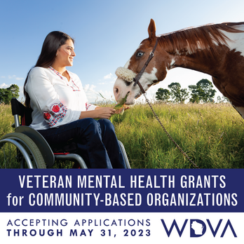 WDVA mental health grants May 2023