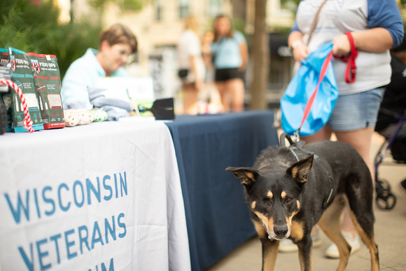 Brownie's puppy dog parade and book night signing on State street August 22 2024