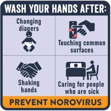 wash your hands