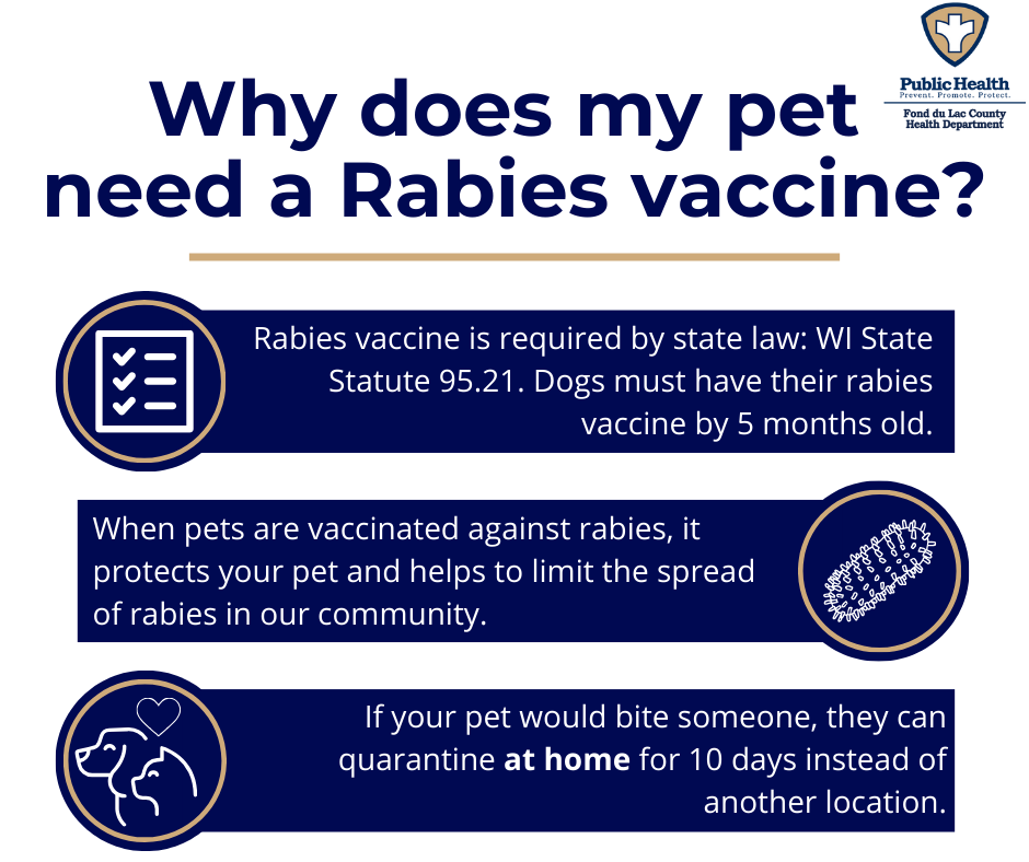 rabies vax