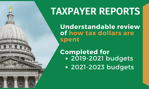 taxpayer report