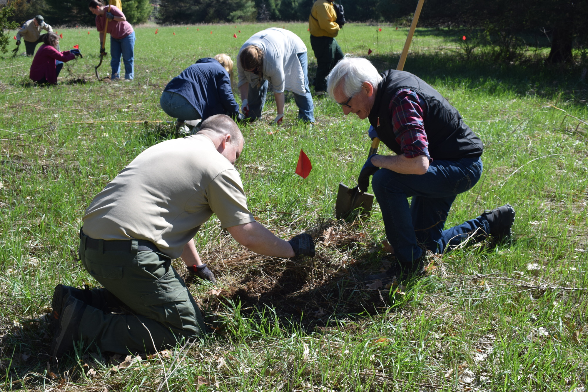 Governor Evers is planting a shrub with Mirror Lake Park Superintendent Pat Cieslewicz.