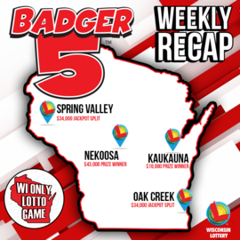 Badger 5