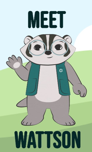 Wattson the Energy Efficiency Badger