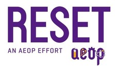 Logo for U.S. Army RESET program