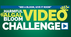 See it bloom, give it room logo for Environmental Protection Agency contest