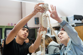 A male and a female student in a high school science class examining a small replica of a human skeleton