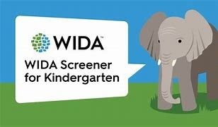 wida elephant