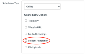 Student Annotation Entry Options Screenshot