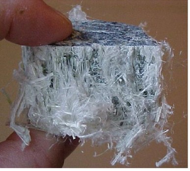 Chrysotile Asbestos