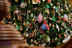 Capitol Chrsitmas Tree