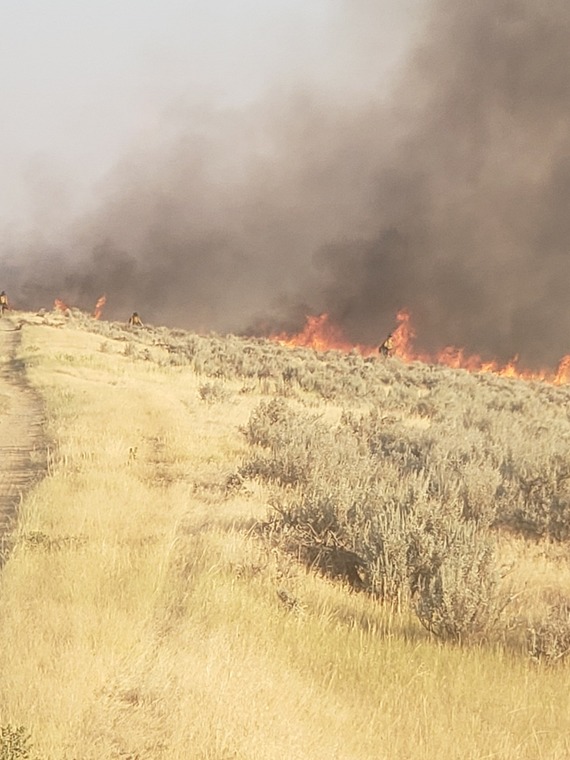 Cheat Grass Fire