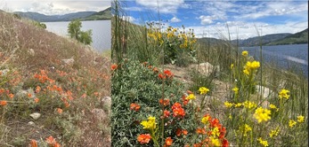 Pre and Post Treatment at Curt Goudy