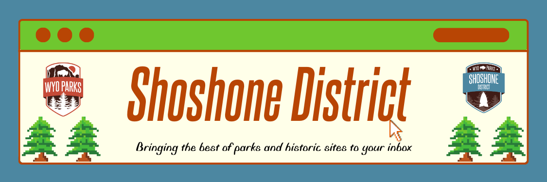 Shoshone District Header