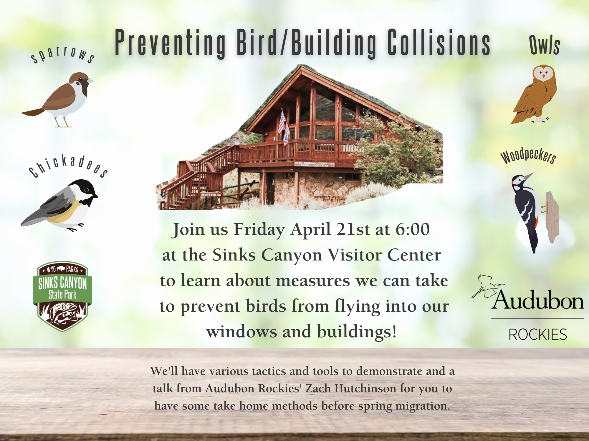 Bird Building Collision flyer