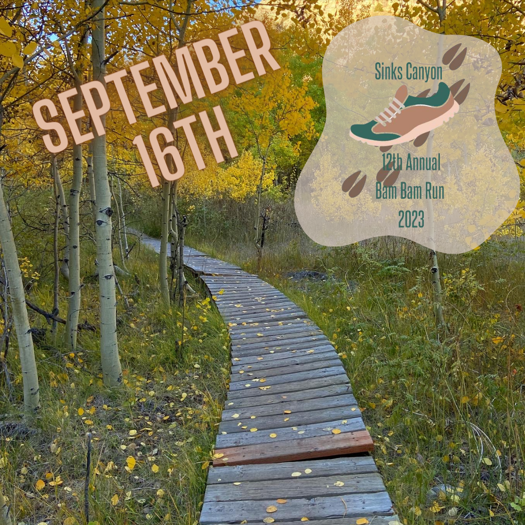Bam Bam Run
