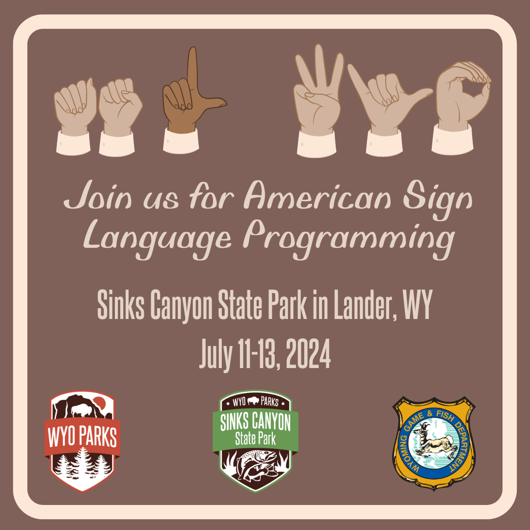 ASL Programming 