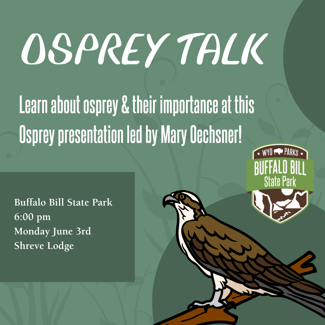 osprey talk post showing a graphic of an osprey on a green background with event details: shreve lodge Monday