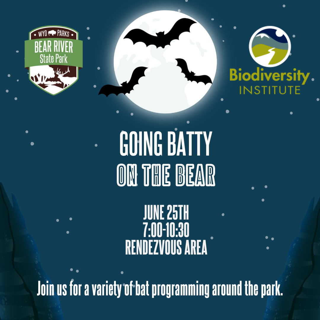 Going batty on the bear. Bat graphics on night sky background. Bear River and Biodiversity institute logos.