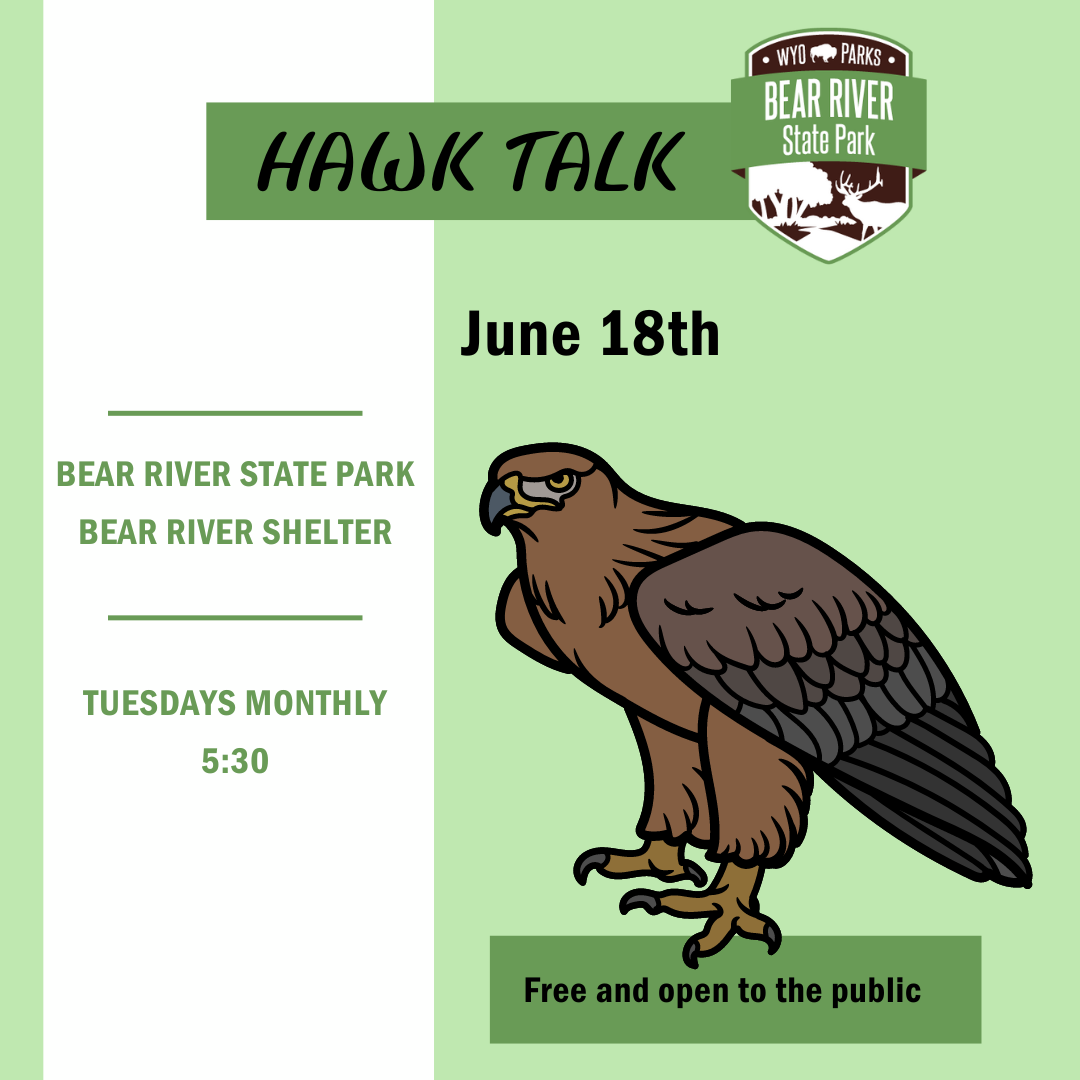 June 18th hawk talk at Bear River. Graphic of a raptor with green background.