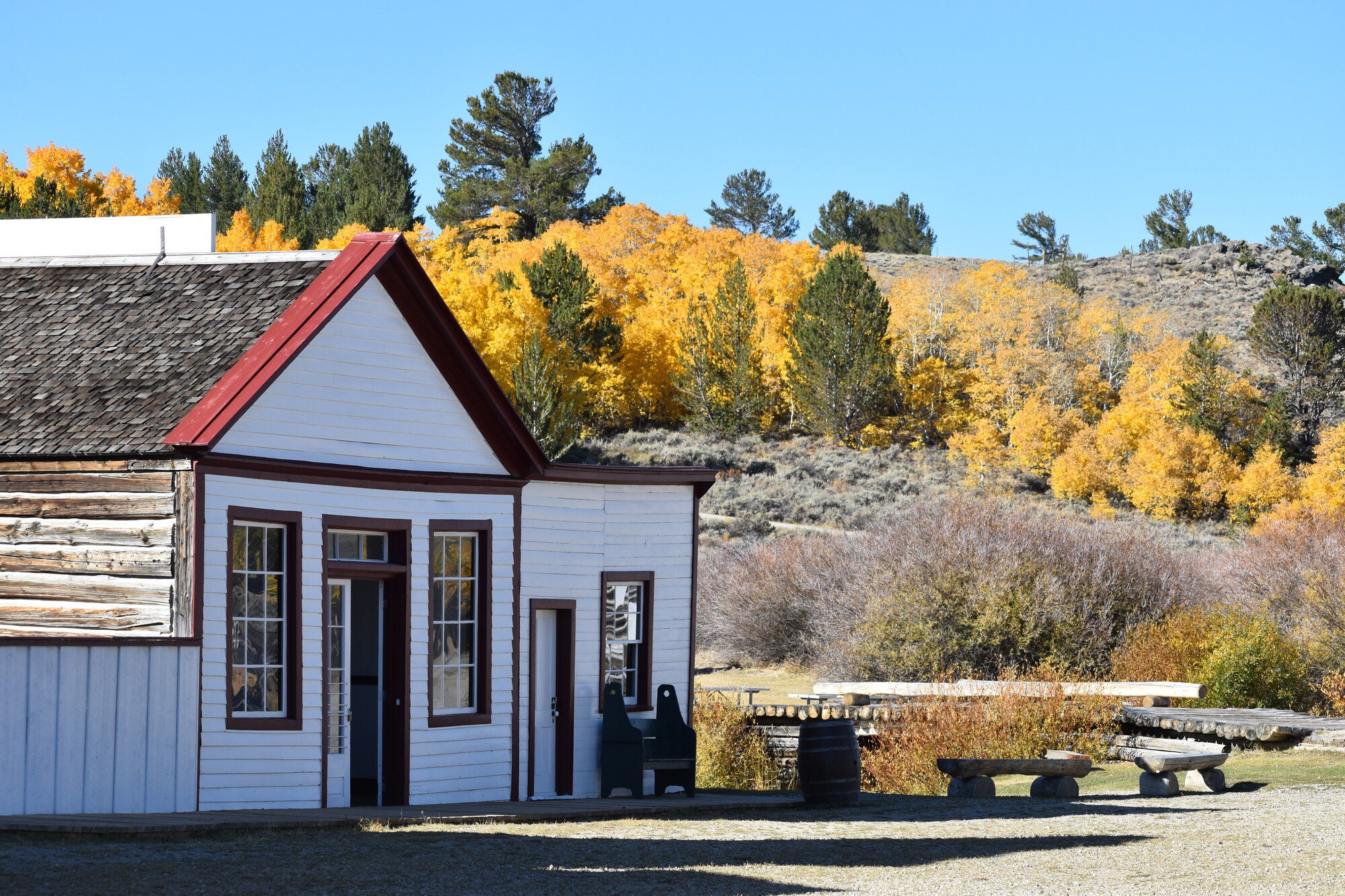 historic south pass city buildings with golden aspen in the background