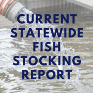statewide stocking report